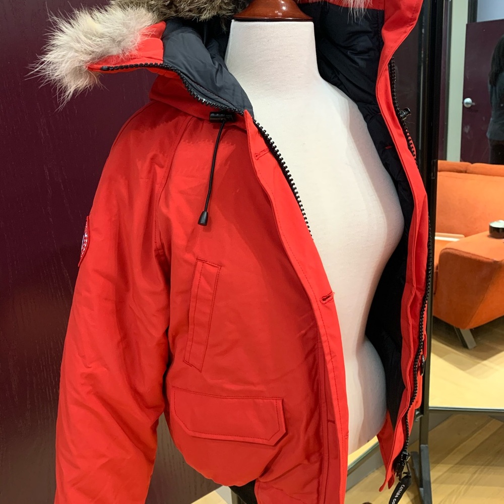 Canada goose
